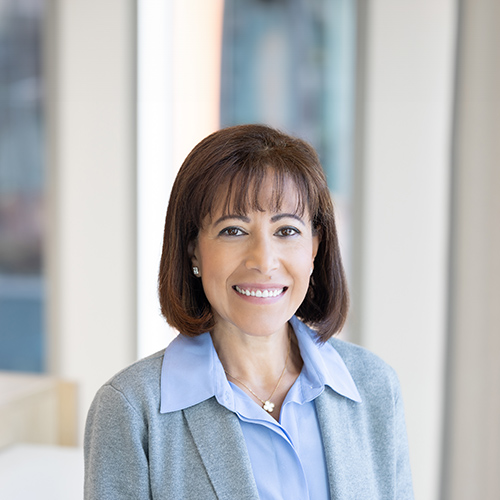 Wafaa Mamilli, Transitioning Executive Vice President, Chief Digital & Technology Officer - Zoetis